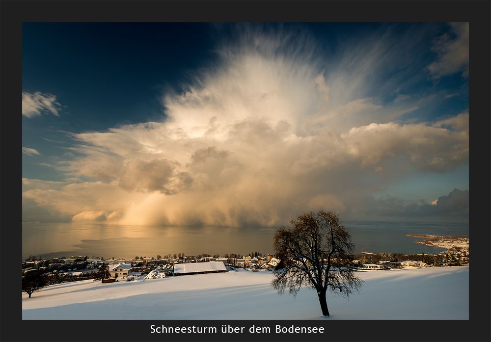 Schneesturm über dem Bodensee