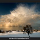 Schneesturm über dem Bodensee