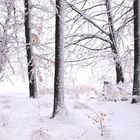 Schneetage im März