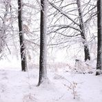 Schneetage im März