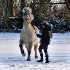 Schneetanz