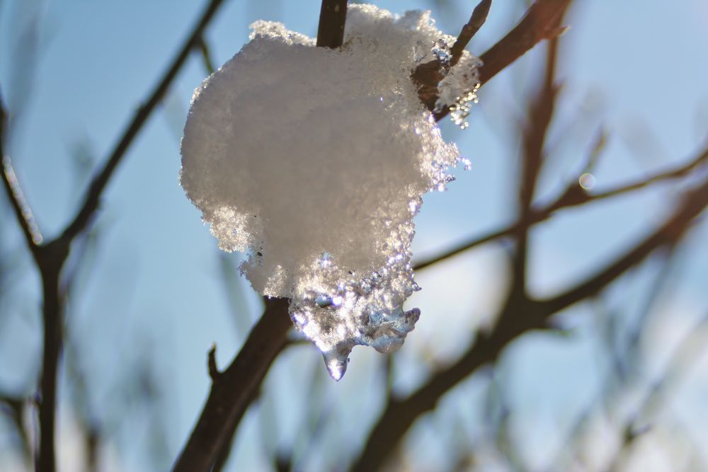 Schneetau von Dagobert68 