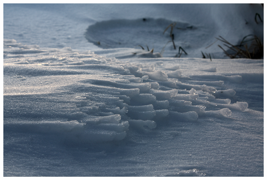 Schneeteppich