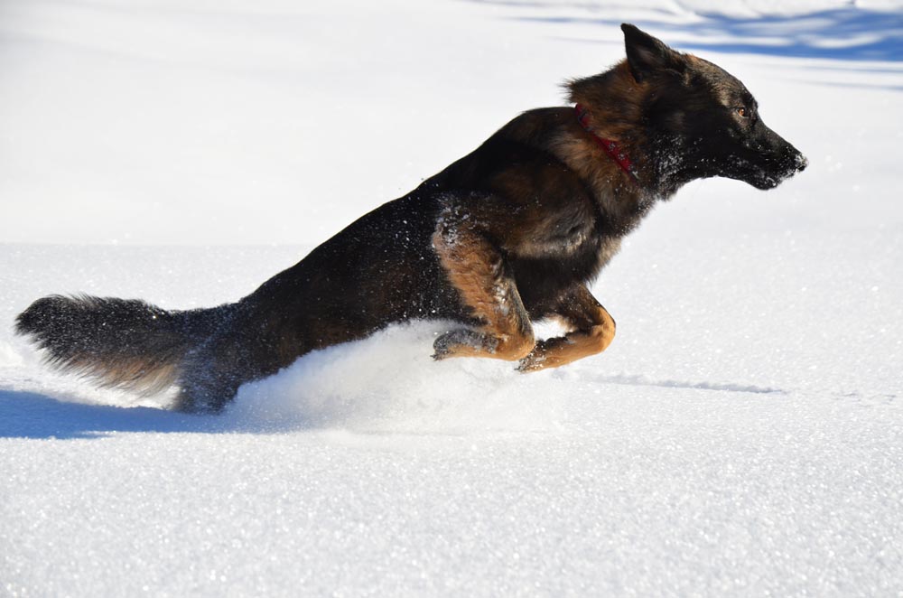 Schneetoben