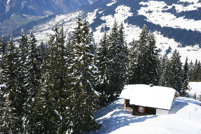 Schneetraum im Montafon