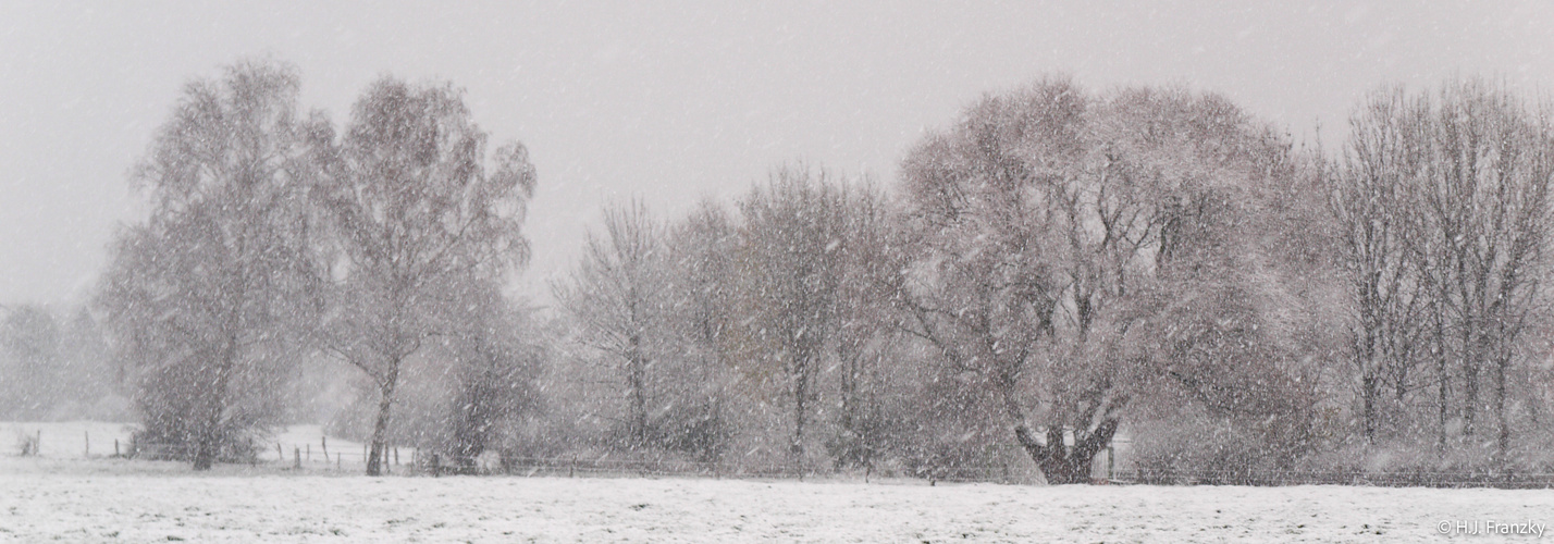 Schneetreiben-1000016