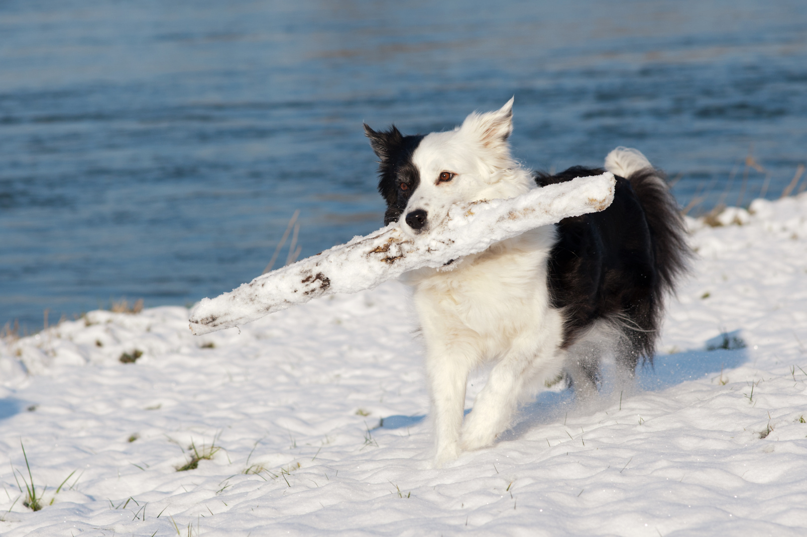 "Schneetreiben"