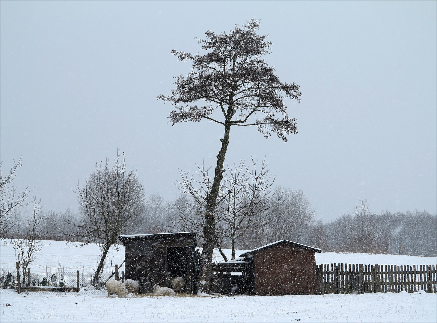 Schneetreiben