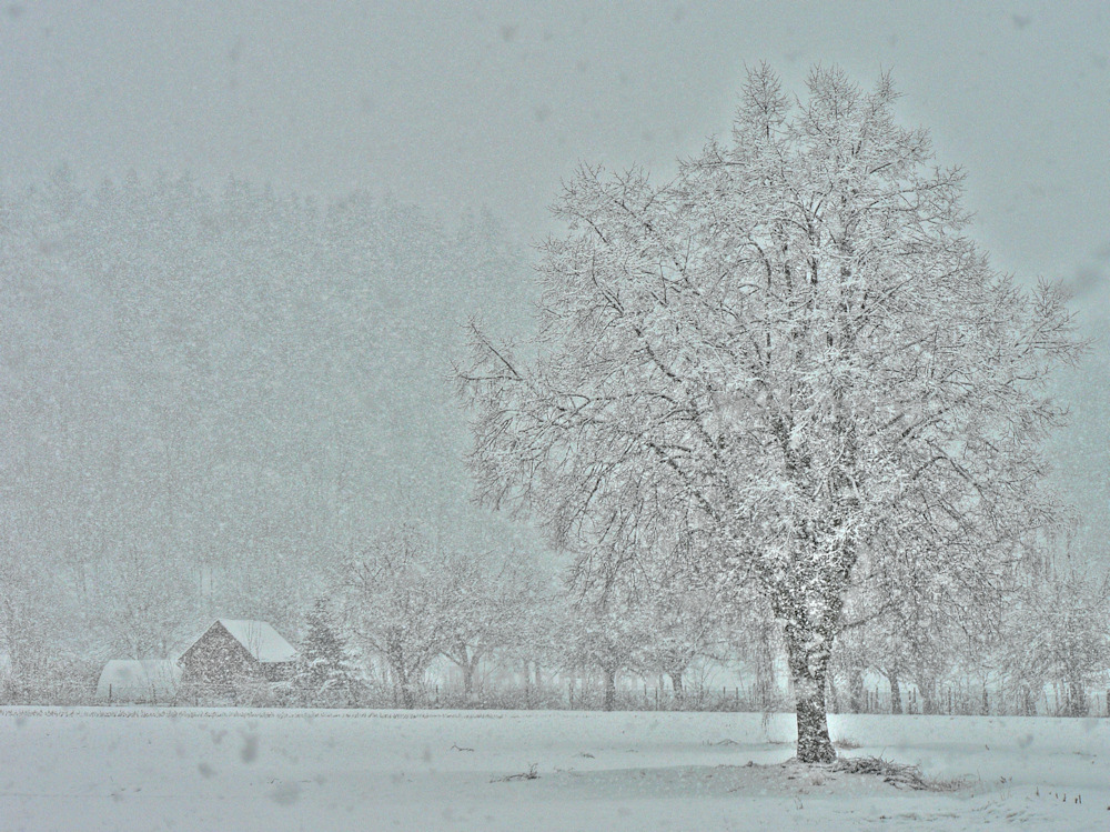 Schneetreiben