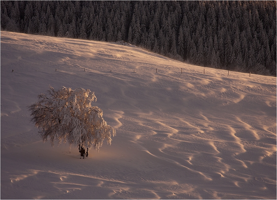 Schneetreiben