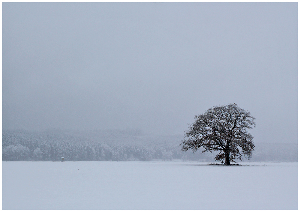 Schneetreiben