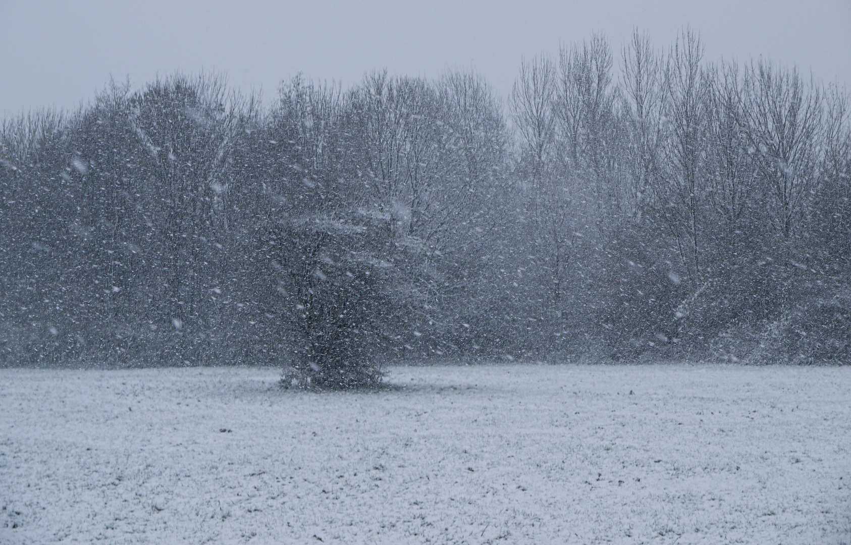 Schneetreiben am 23.11.2008