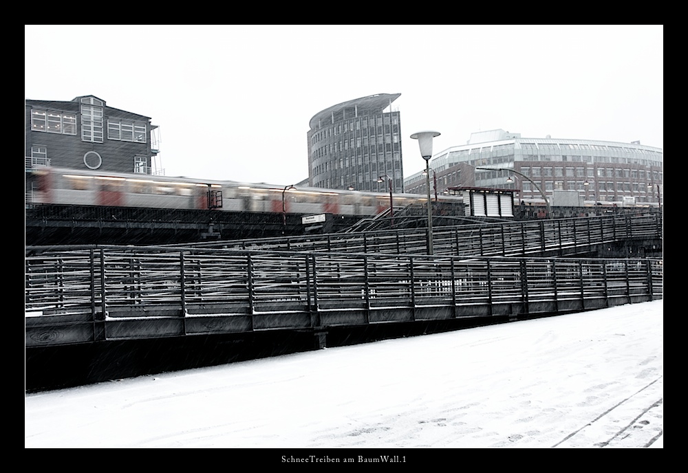 SchneeTreiben Am BaumWall