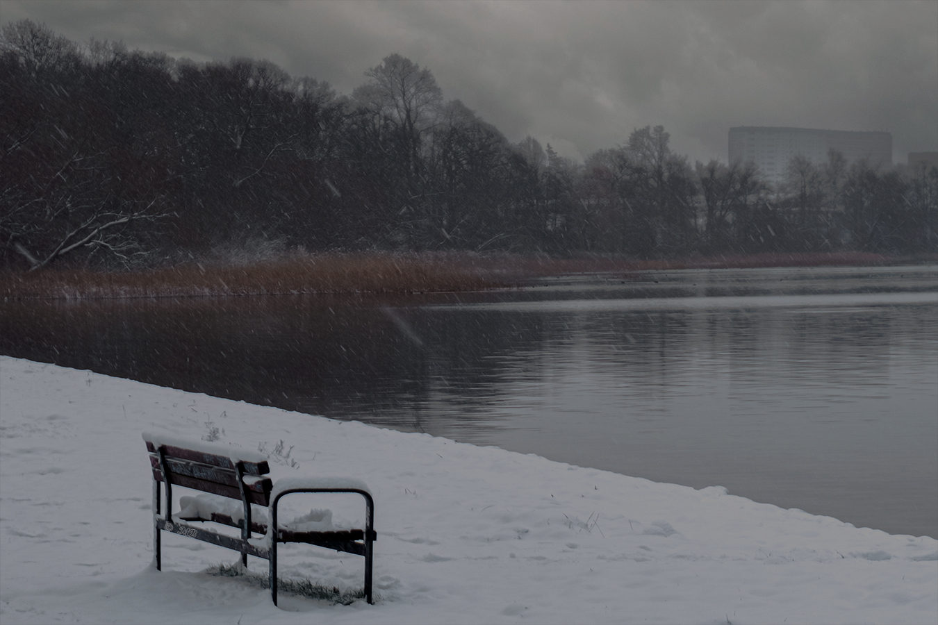 Schneetreiben am Tollensesee