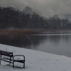 Schneetreiben am Tollensesee