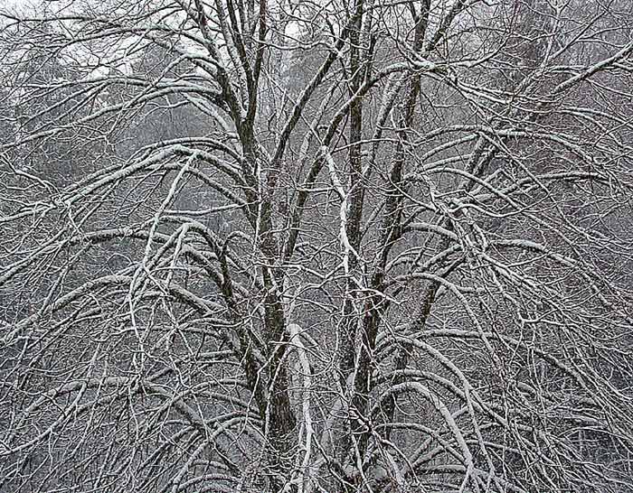 Schneetreiben von Dirk Plamitzer