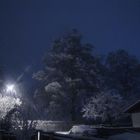 Schneetreiben bei Nacht