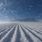 Schneetreiben bei Sonnenschein