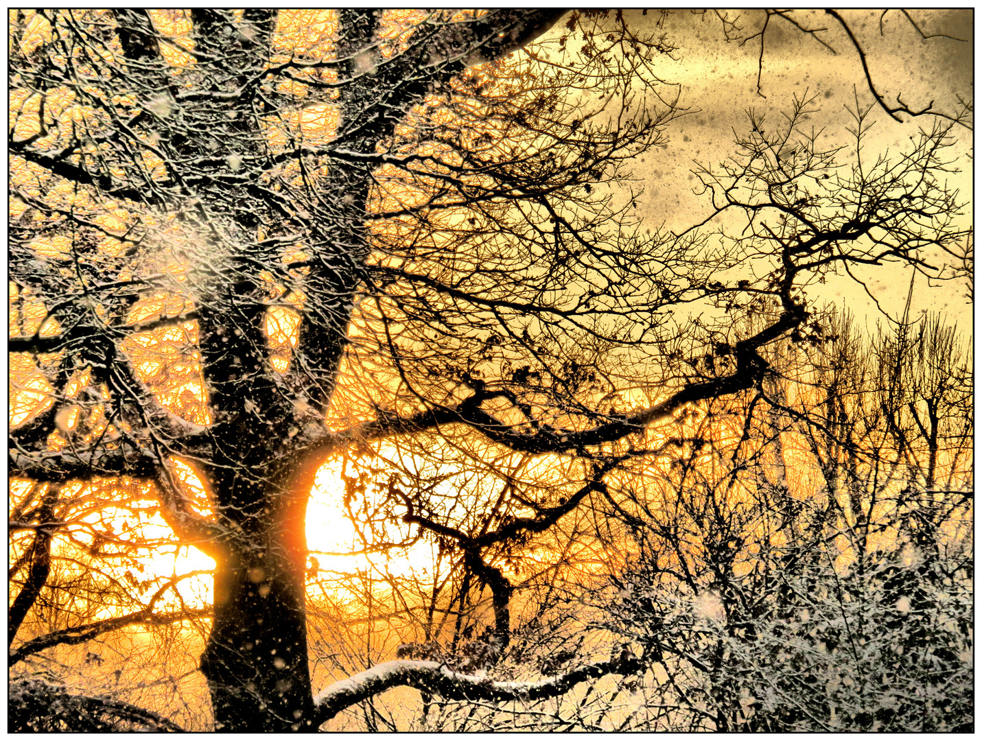 Schneetreiben bei Sonnenuntergang