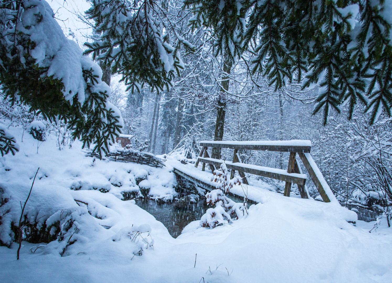 Schneetreiben beim Morgenspatziergang