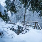 Schneetreiben beim Morgenspatziergang