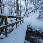 Schneetreiben beim Morgenspatziergang II