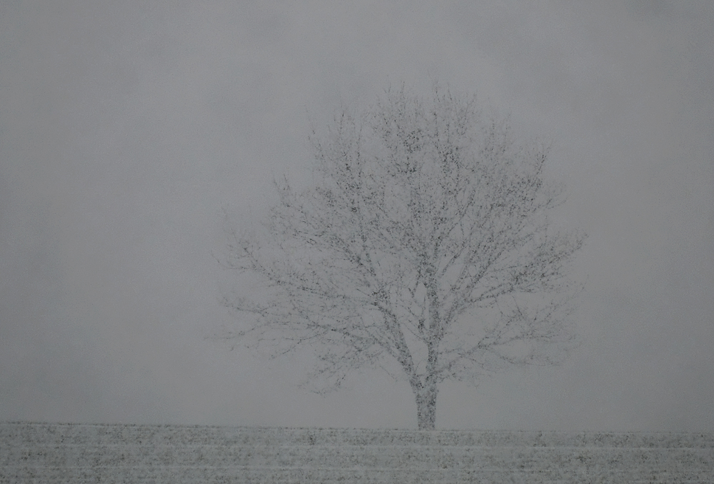 Schneetreiben