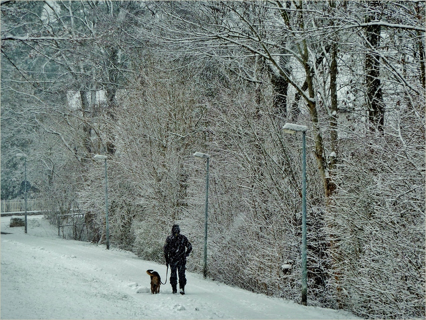 Schneetreiben