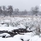 Schneetreiben im Hohen Venn