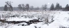 Schneetreiben im Hohen Venn