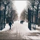 Schneetreiben im Park