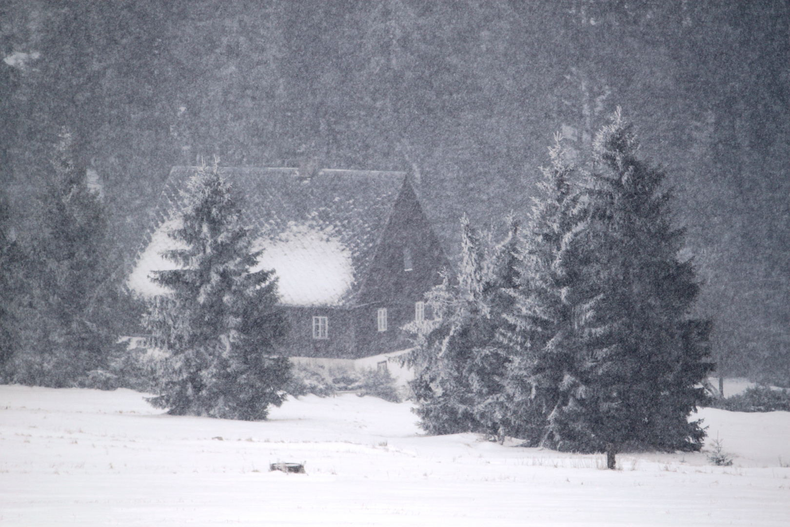 Schneetreiben in der Einsamkeit