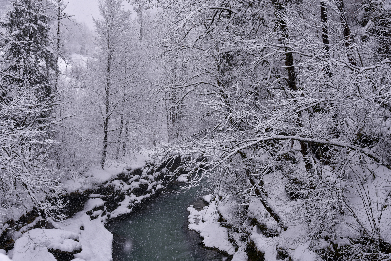 Schneetreiben in der Palfauer Schlucht