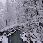 Schneetreiben in der Palfauer Schlucht