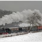 Schneetreiben mit der württembergischen Tssd