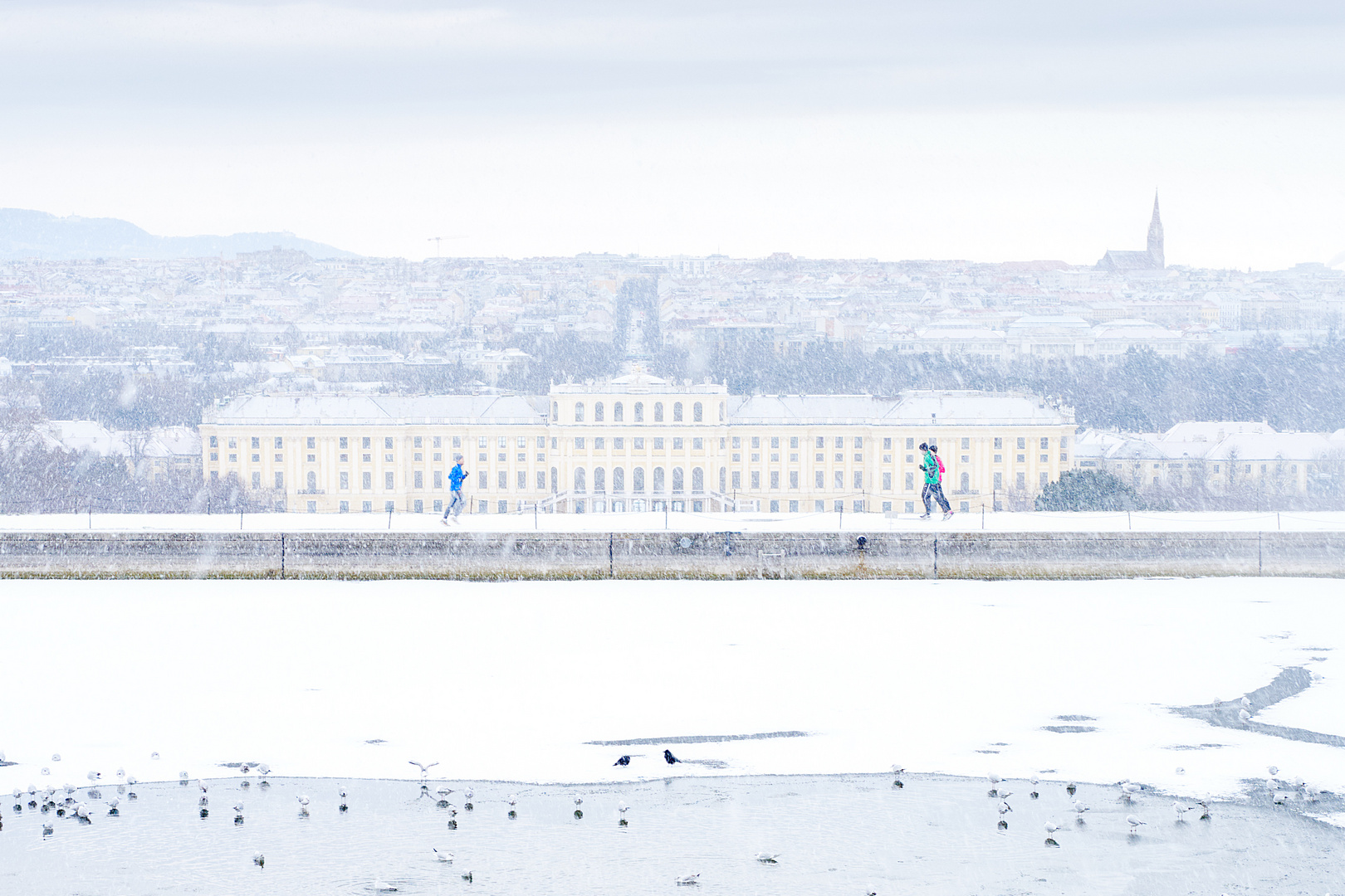 Schneetreiben über Schönbrunn