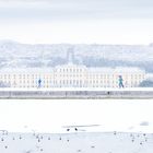 Schneetreiben über Schönbrunn