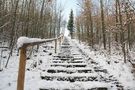 Schneetreppe im Wald..... von  Hans Aussem