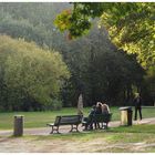 schneetropfen im herbst