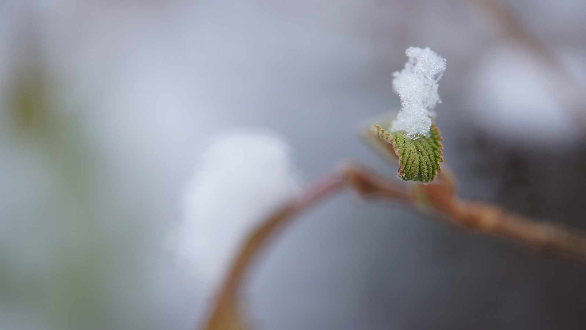 Schneetürmchen