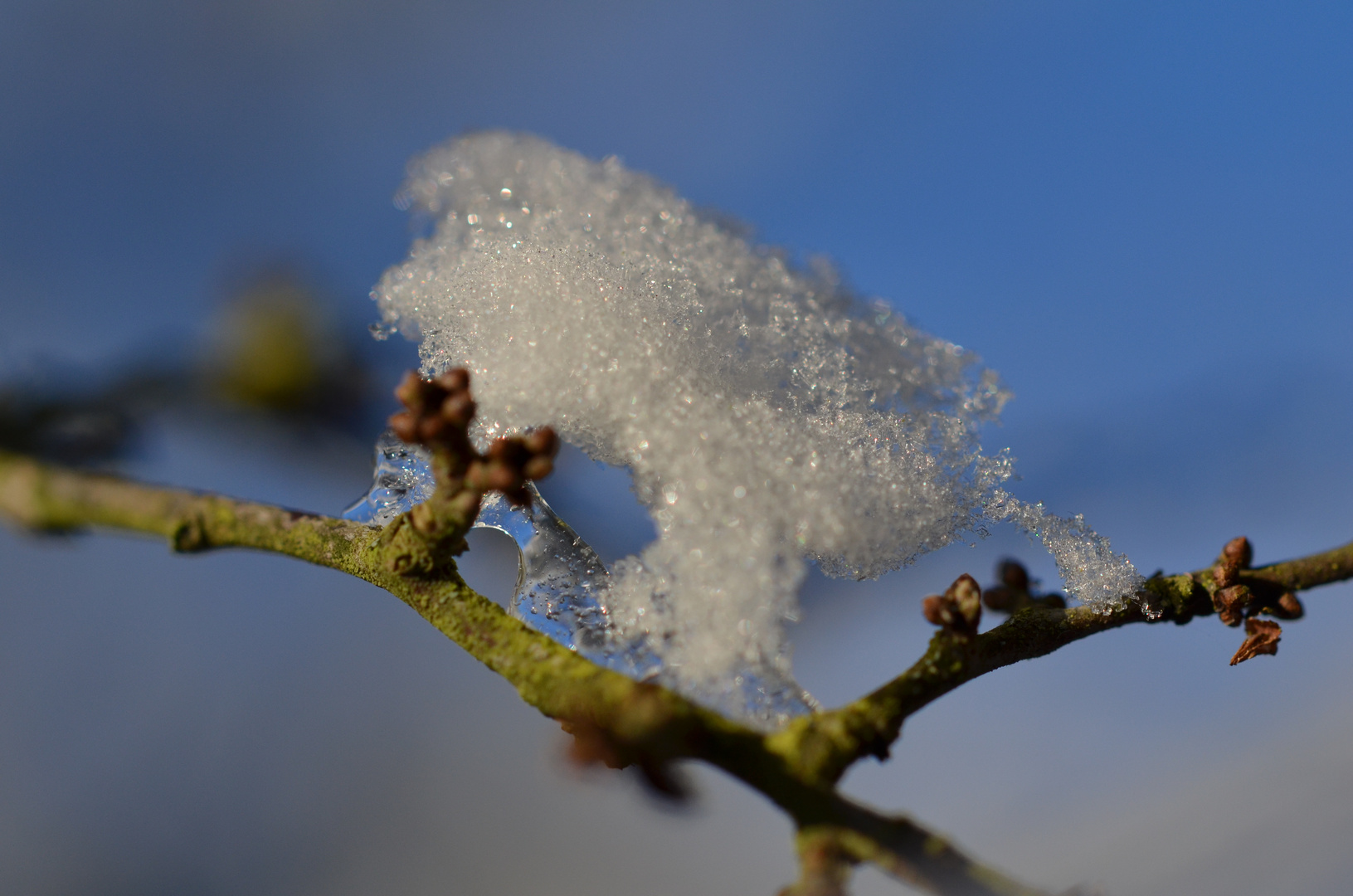 Schneetuff