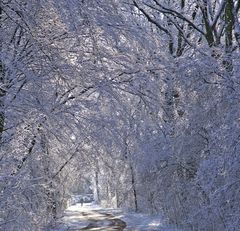Schneetunnel