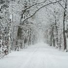 Schneetunnel