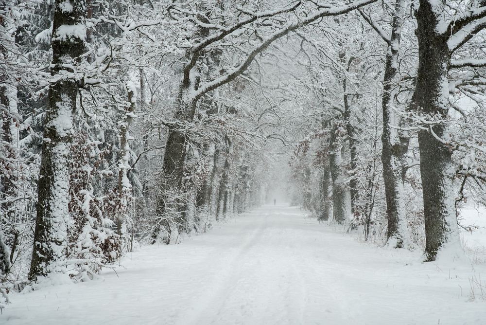 Schneetunnel