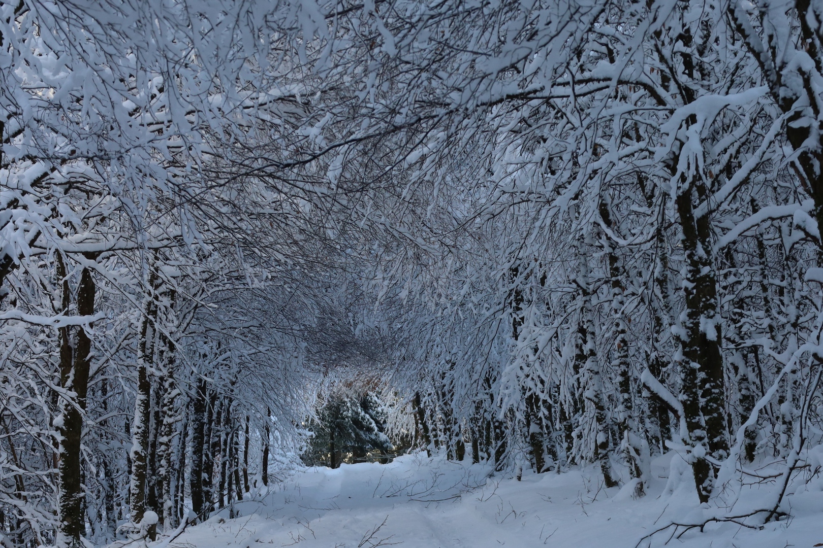 Schneetunnel