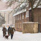 Schneeüberfall in Münster