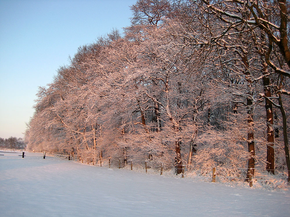 Schneeuntergang