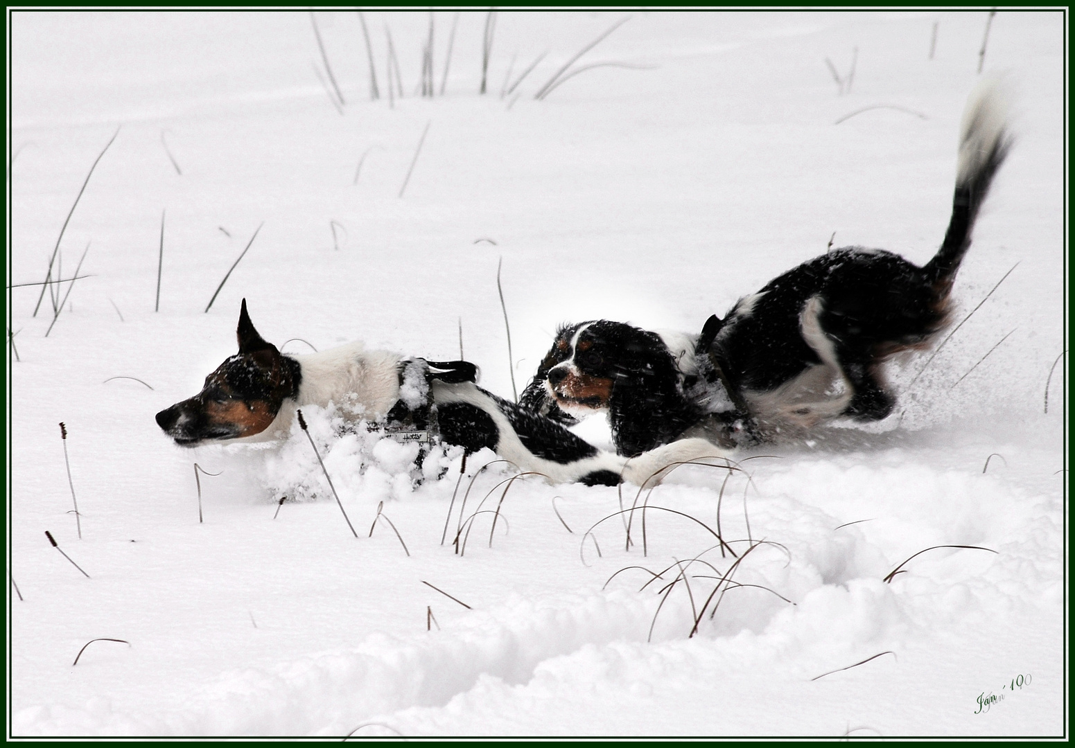 Schneevergnügen