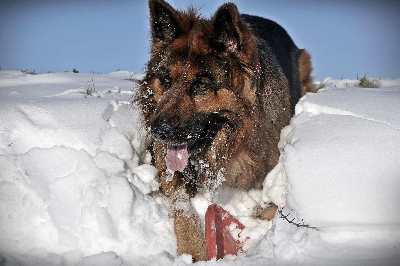 Schneevergnügen