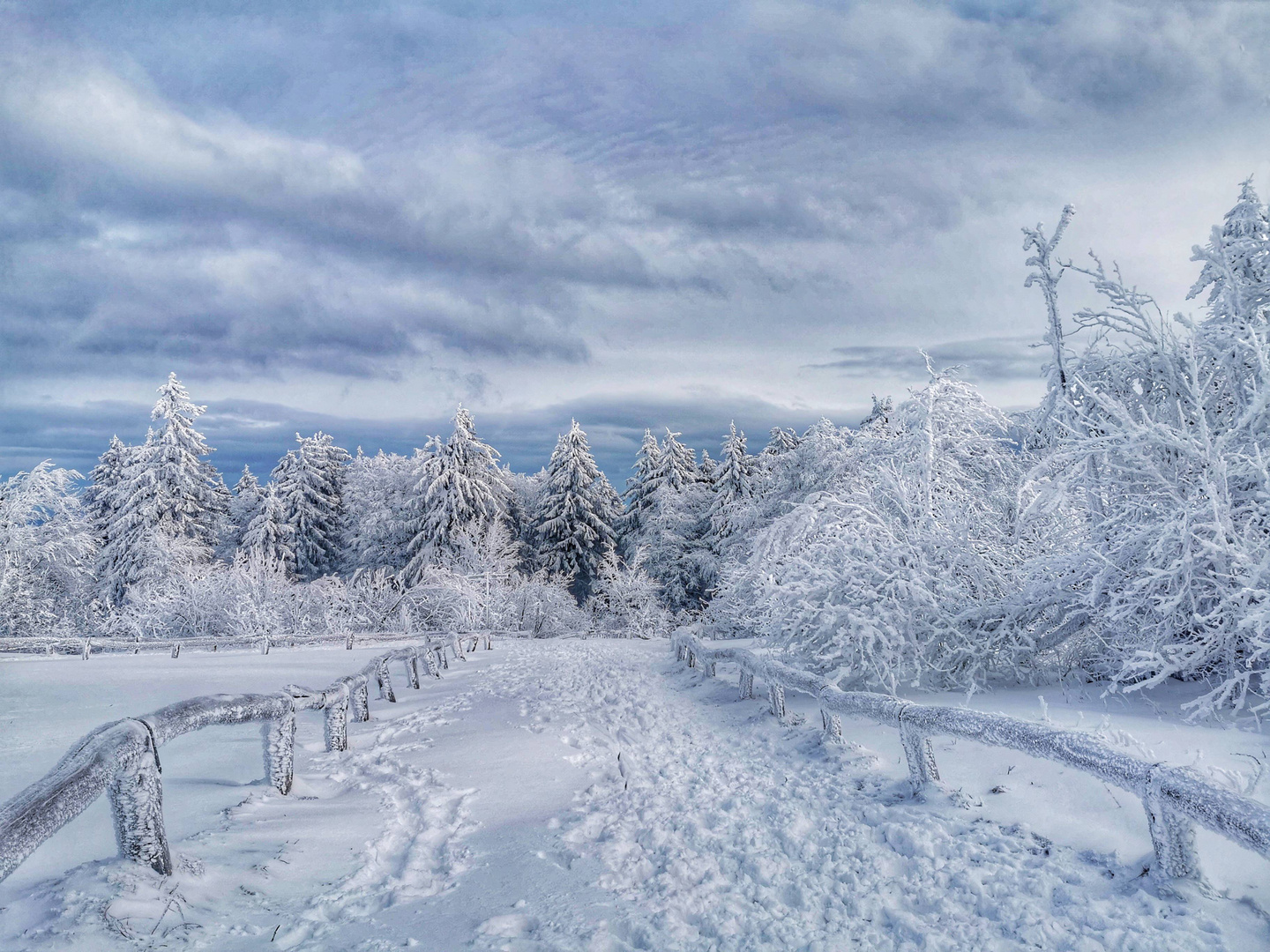 Schneevergnügen auf dem Feldberg im Taunus